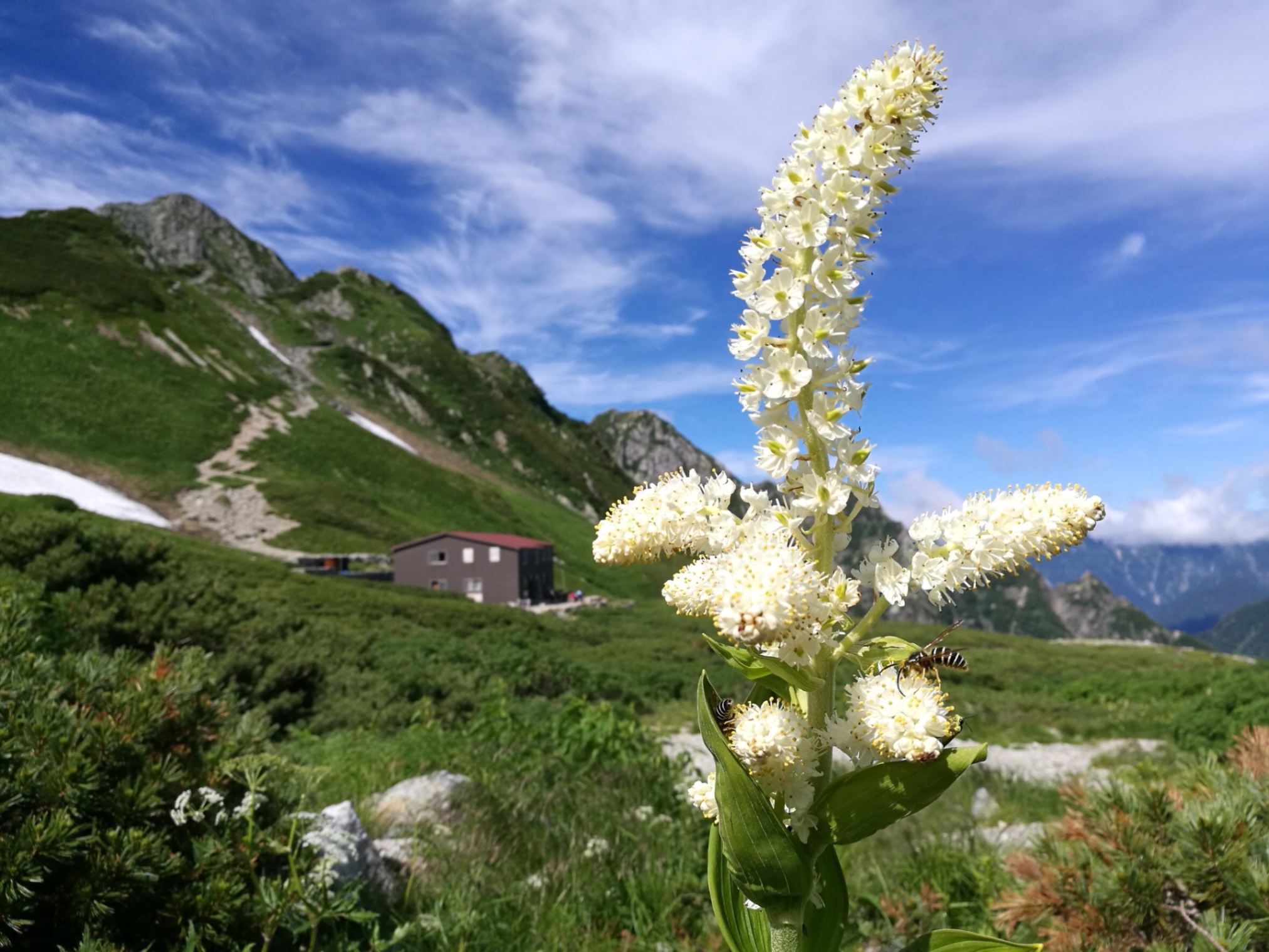 十玄談 原田雪渓普説 十玄談: 原田雪溪普説 | 原田 雪溪 |本 | 通販 | Amazon