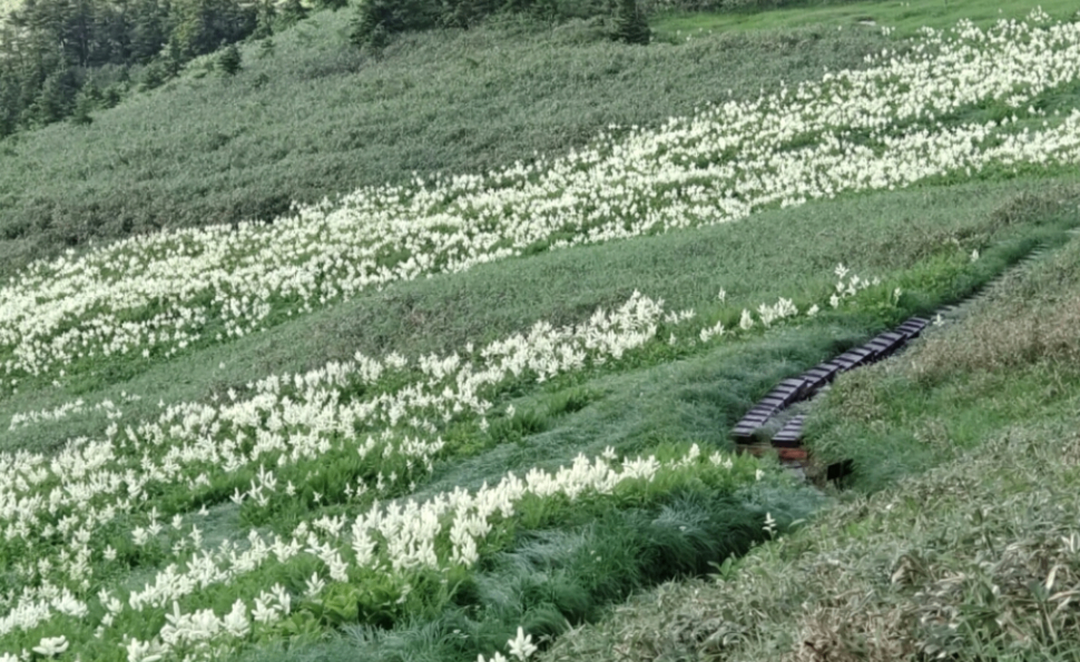 会津駒ヶ岳 駒の小屋